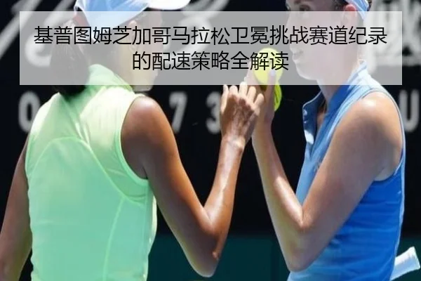 ji-pu-tu-mu-zhi-jia-ge-ma-la-song-wei-mian-tiao-zhan-sai-dao-ji-lu-de-pei-su-ce-lve-quan-jie-du-3-408.jpg