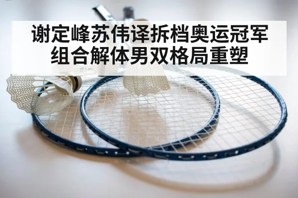 badminton racket and shuttlecock