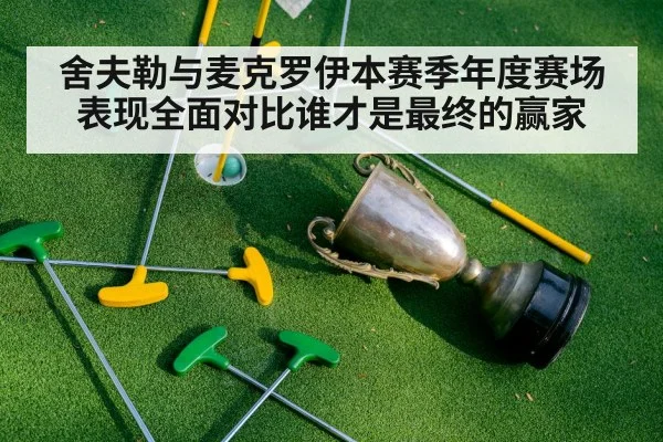 舍夫勒与麦克罗伊本赛季年度赛场表现全面对比谁才是最终的赢家