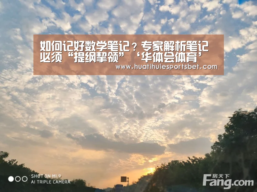 如何记好数学笔记?专家解析笔记必须“提纲挈领”‘华体会体育’(图4) 华体会体育