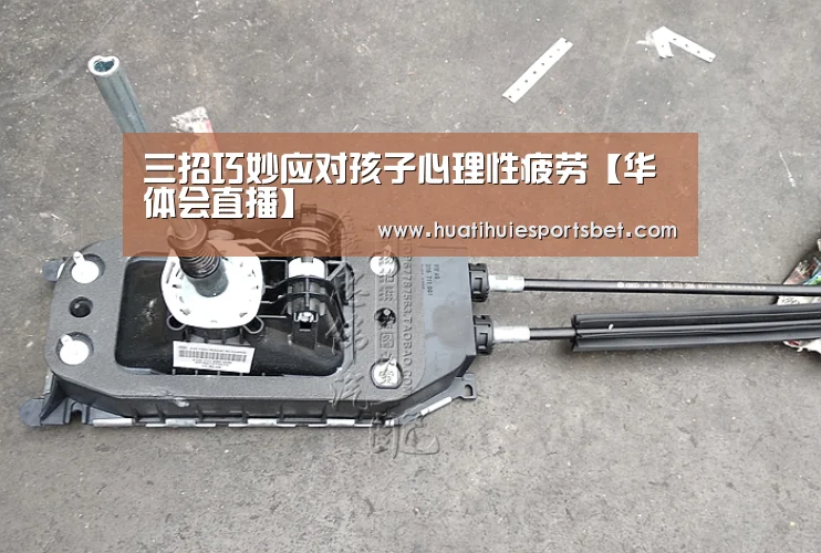 三招巧妙应对孩子心理性疲劳【华体会直播】(图3) 华体会直播